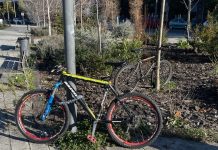Vitoria tiene 17.000 plazas para aparcar bicicletas ¡Insuficientes!