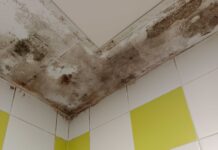 Ducharse con nuevos compis en Vitoria