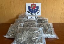 Conduce sin luces, choca con un árbol y aparecen drogas