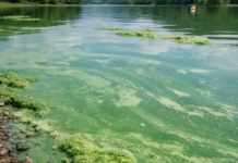 Comienza la temporada de pantanos en Álava ¡Ojo a bacterias! Comienza la temporada de pantanos en Álava ¡Ojo a bacterias!
