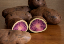 Álava logra una patata de carne púrpura y blanca