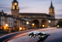 Vitoria retira un Jaguar para destruir