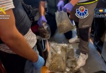 Golpe al tráfico de drogas en Euskadi ¡Fotos!