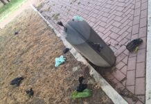Operación limpieza fallida en Vitoria: Multones, pero papeleras desbordadas Operación limpieza fallida en Vitoria: Multones, pero papeleras desbordadas