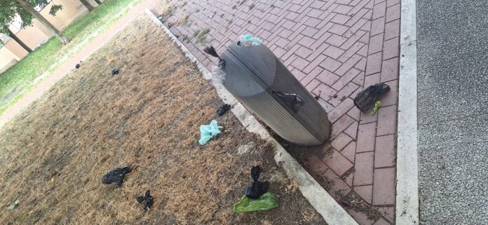Operación limpieza fallida en Vitoria: Multones, pero papeleras desbordadas