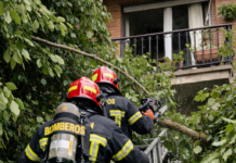 ‘Asalto a la selva’ para un rescate serio en Vitoria 'Asalto a la selva' para un rescate en Vitoria
