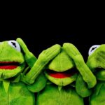 ranas-sumar-1024×601