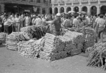 La Feria vitoriana de ajos en blanco y negro