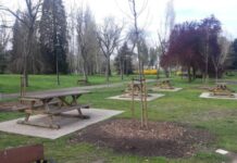 Más árboles para crear sombras en Vitoria ¿Te ha tocado? Más árboles para crear sombras en Vitoria ¿Te ha tocado?