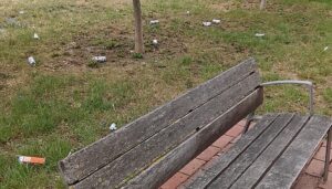 ¡Ya lo recogerá otro!, excusa incívica en Vitoria ¡Y miedo!