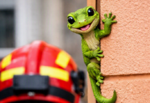 Despliegue de Bomberos por un reptil fantasma en Vitoria Despliegue de Bomberos por un reptil fantasma en Vitoria