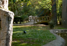 A punto de desbordarse el Parque de la Florida en Vitoria A punto de desbordarse el Parque de la Florida en Vitoria
