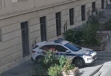 Sigue el ‘aparca donde te sale’ en Vitoria ¡A la sombrita! Sigue el 'aparca donde te sale' en Vitoria ¡A la sombrita!