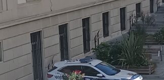 Sigue el ‘aparca donde te sale’ en Vitoria ¡A la sombrita! Sigue el 'aparca donde te sale' en Vitoria ¡A la sombrita!