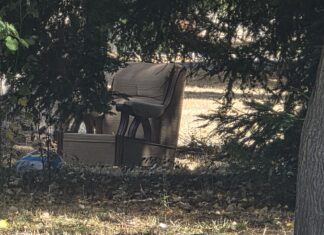 Cortar maleza acaba con ‘sin techo’ en jardines de Vitoria Opiniones en Vitoria ante llegada de inmigrantes ¿A tu casa?
