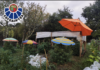 Varias fincas rurales con marihuana