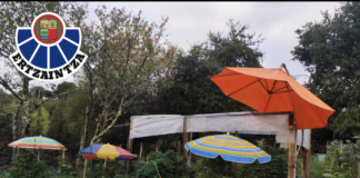 Varias fincas rurales con marihuana