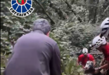 Rescate de dos perros caídos a 12 metros en el monte