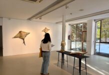 Exposición en Vitoria con residuos de playas