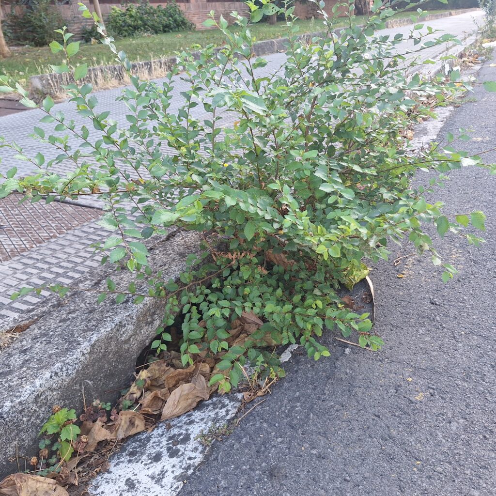 Se acercan las inundaciones a Vitoria