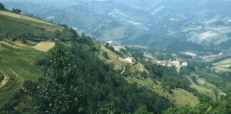 Denuncia en el juzgado por derribar una cruz en Álava Denuncia en el juzgado por derribar una cruz en Álava