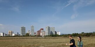 ¿Te apuntas a pasear 30 kilómetros en Vitoria?