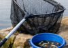 Niños ‘armados’ con redes de pesca en Vitoria ¡Cero respeto! Niños armados con redes de pesca en Vitoria y cero respeto