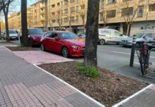 5 euros para arreglar cada alcorque de Vitoria ¡Como la patena! 5 euros para arreglar cada alcorque de Vitoria ¡Como la patena!