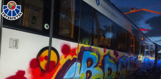 Grafiteros chocan en su huida contra el coche policial