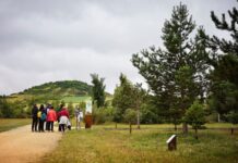 El jardín botánico de Vitoria accede a una red internacional El jardín botánico de Vitoria accede a una red internacional