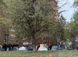 Acampada para impedir desalojo en Vitoria: Ingresan 2.000 €/mes Acampada para impedir un desalojo en Vitoria ¡Ingresan 2.000 €/mes!