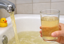 Agua Vitoria: El Ayuntamiento admite sabor extraño y color amarillo Agua Vitoria: El Ayuntamiento admite sabor extraño y color amarillo