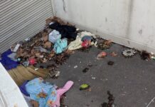 Conquista okupa de un edificio en Vitoria ¡9 fotos del infierno! Conquista okupa de un edificio en Vitoria ¡9 fotos del infierno!